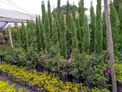 Imagen de reciclaje 4