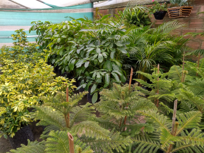 Imagen de reciclaje 6